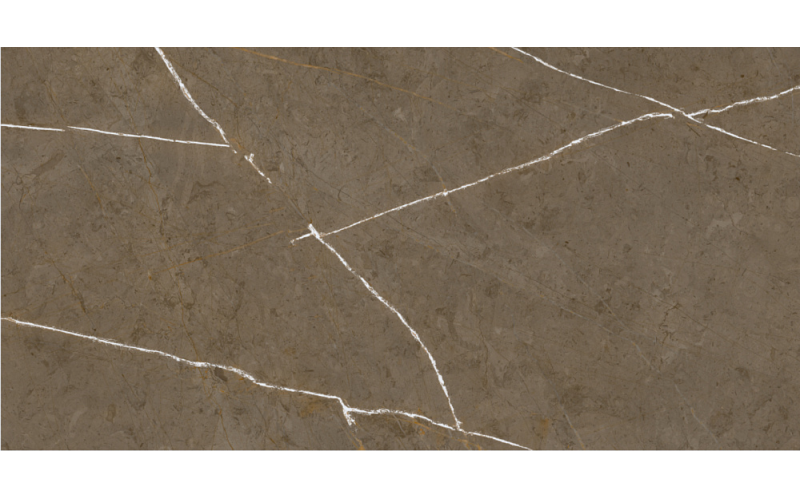 Керамогранит Basconi Home Stone Brown 3D Ink-Soft Glaze 60x120 (BHM-5009)