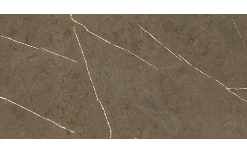 Керамогранит Basconi Home Stone Brown 3D Ink-Soft Glaze 60x120 (BHM-5009)