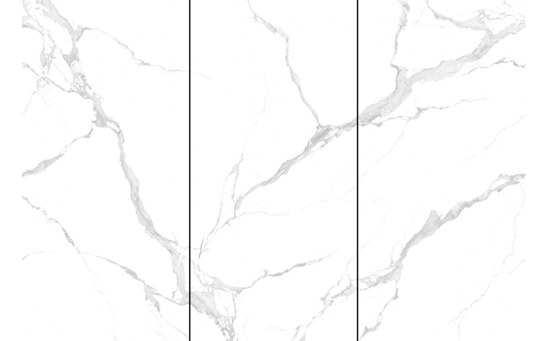 Керамогранит NT Ceramic Atlas Wide Bianco Carrara 120x240 (NTT3004P)