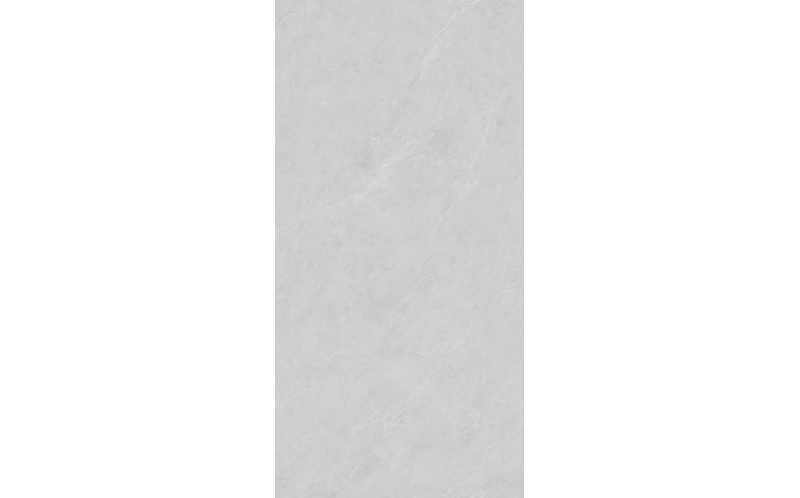 Керамогранит Basconi Home Cateye Light Grey Grains Soft-Polished Mould 60x120 (BHW-0023)