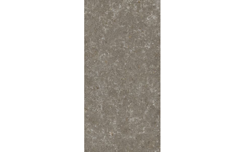 Керамогранит Stn Ceramica Verity Natural Mt Rect. 60x120 (УТ-00046683)