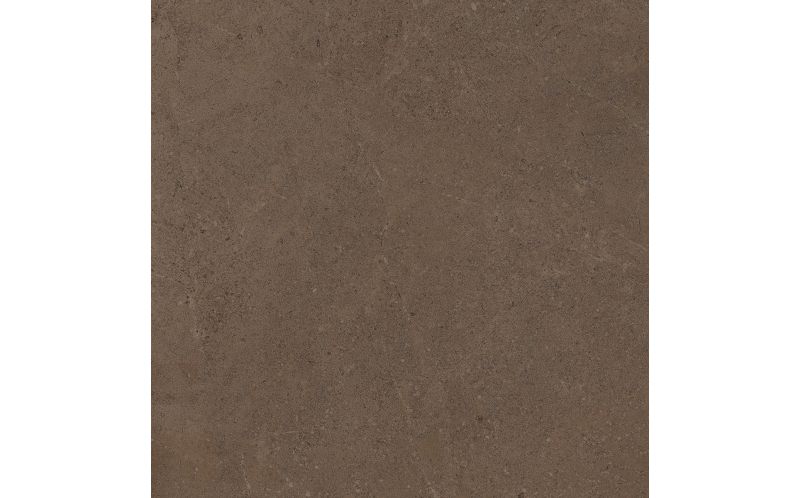 Керамогранит Estima GO03 Gobi Brown Grey неполированный 60x60