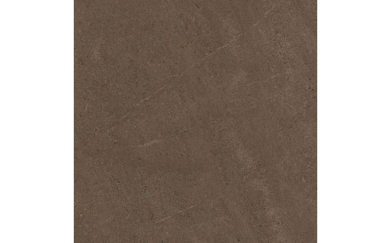 Керамогранит Estima GO03 Gobi Brown Grey неполированный 60x60