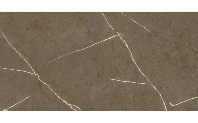 Керамогранит Basconi Home Stone Brown 3D Ink-Soft Glaze 60x120 (BHM-5009)