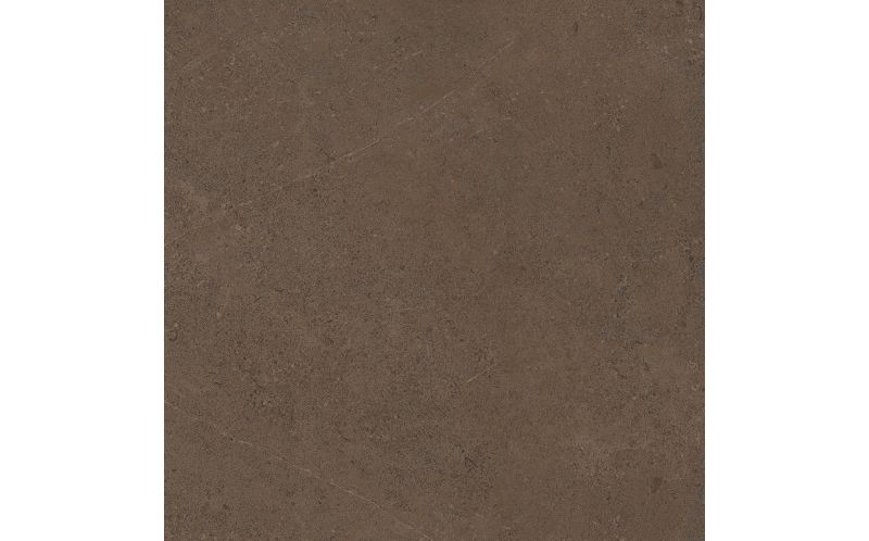 Керамогранит Estima GO03 Gobi Brown Grey неполированный 60x60