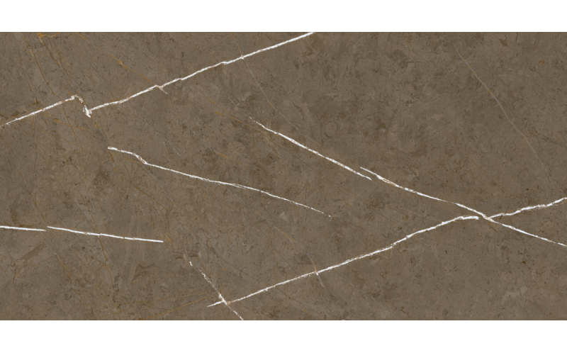 Керамогранит Basconi Home Stone Brown 3D Ink-Soft Glaze 60x120 (BHM-5009)