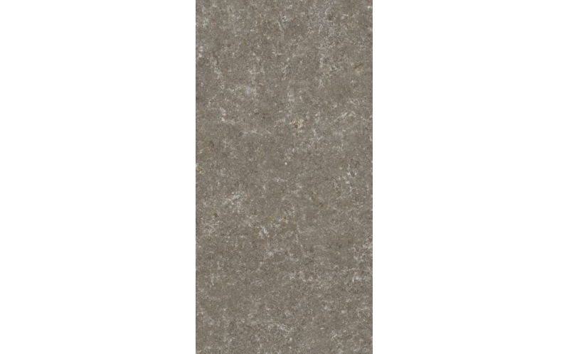 Керамогранит Stn Ceramica Verity Natural Mt Rect. 60x120 (УТ-00046683)