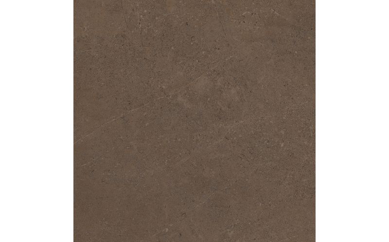 Керамогранит Estima GO03 Gobi Brown Grey неполированный 60x60