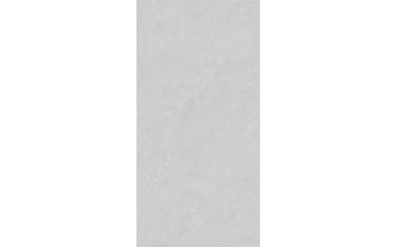 Керамогранит Basconi Home Cateye Light Grey Grains Soft-Polished Mould 60x120 (BHW-0023)