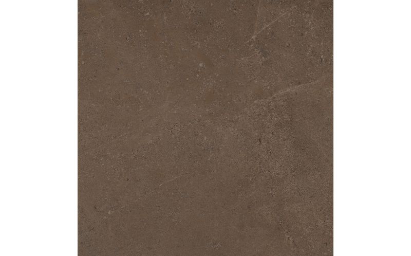 Керамогранит Estima GO03 Gobi Brown Grey неполированный 60x60