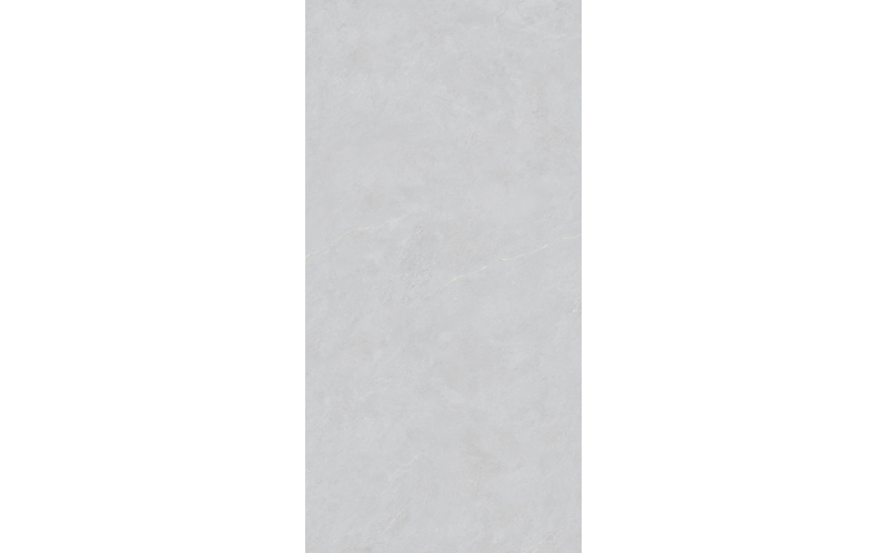 Керамогранит Basconi Home Cateye Light Grey Grains Soft-Polished Mould 60x120 (BHW-0023)