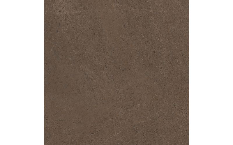 Керамогранит Estima GO03 Gobi Brown Grey неполированный 60x60