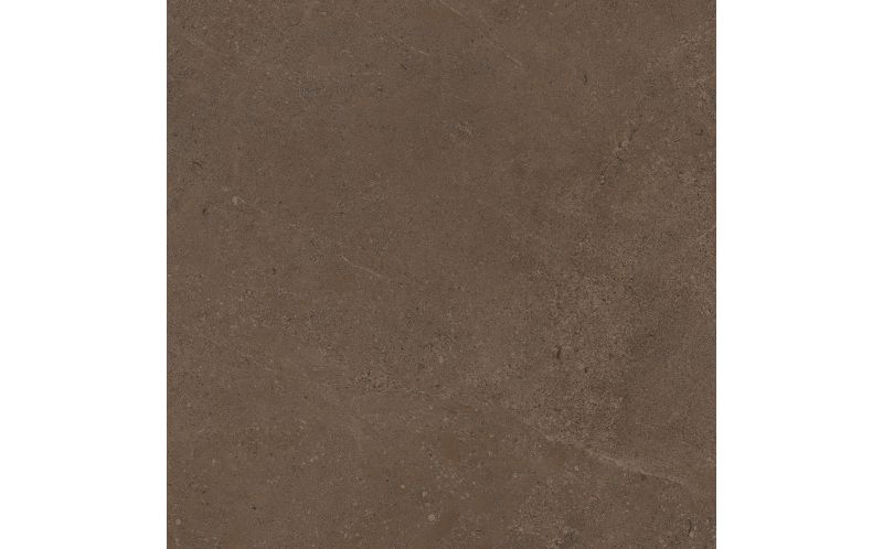 Керамогранит Estima GO03 Gobi Brown Grey неполированный 60x60