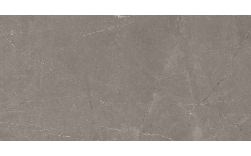 Керамогранит Ceradim Stone Micado Grey Серый Полированный 60x120 (х9999301498)