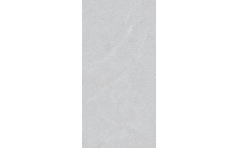 Керамогранит Basconi Home Cateye Light Grey Grains Soft-Polished Mould 60x120 (BHW-0023)