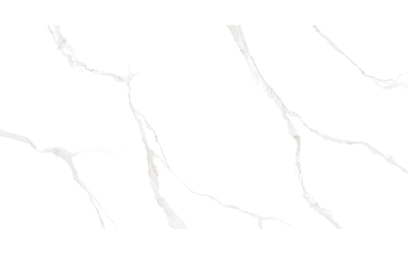 Плитка AltaCera Elemento Bianco Carrara 250x500x9 (WT9ELT00)