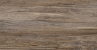 Керамогранит New Trend Exotic Wood Marron sugar-эффект 200x900 (GP2090EXC21R)