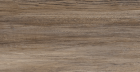 Керамогранит New Trend Exotic Wood Marron sugar-эффект 200x900 (GP2090EXC21R)