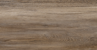 Керамогранит New Trend Exotic Wood Marron sugar-эффект 200x900 (GP2090EXC21R)