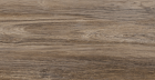 Керамогранит New Trend Exotic Wood Marron sugar-эффект 200x900 (GP2090EXC21R)