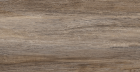 Керамогранит New Trend Exotic Wood Marron sugar-эффект 200x900 (GP2090EXC21R)