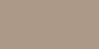 Керамогранит Rainbow Light Brown RW041 неполированный 60x120