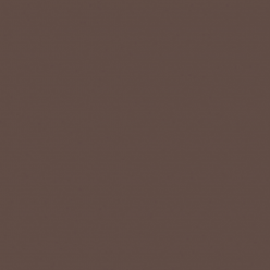 Керамогранит Rainbow Brown RW04 неполированный 60x60