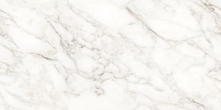 Керамогранит Ceradim Carrara Immense Белый Полированный 60x120 (х9999304489)