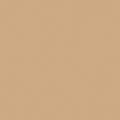 Керамогранит Rainbow Beige RW15 неполированный 60x60