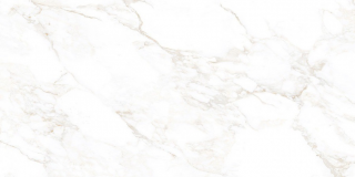 Керамогранит NT Ceramic Marmo Marble Extra Endless 60x120 (NTT99526M)