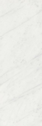 Настенная плитка Борсари 12103R Белый Обрезной 25x75